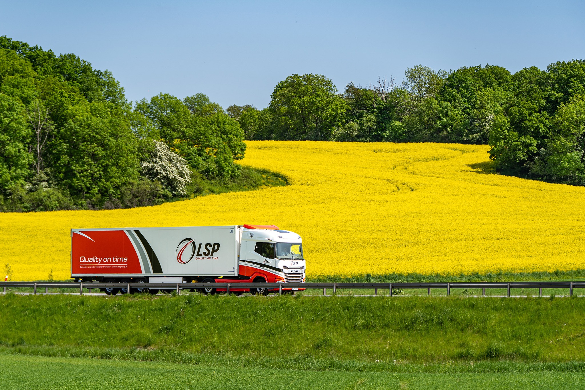 Fleet Inspection System visual